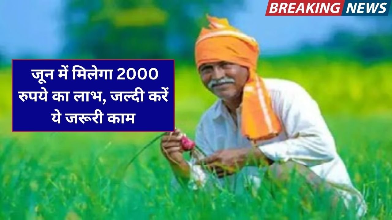 पीएम किसान योजना: जून में मिलेगा 2000 रुपये का लाभ, जल्दी करें ये जरूरी काम